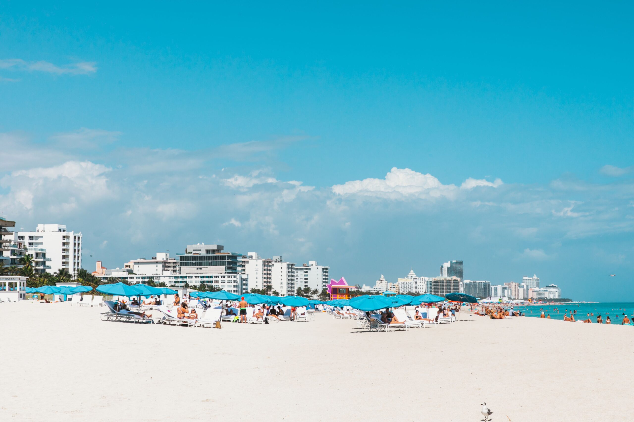Global Travel Brand Giants Are Headed to Miami This October